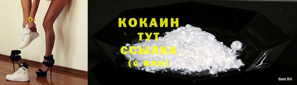 дживик Белокуриха