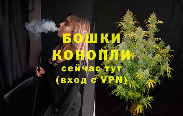 дживик Белокуриха