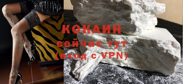 дживик Белокуриха