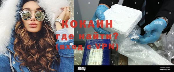 дживик Белокуриха