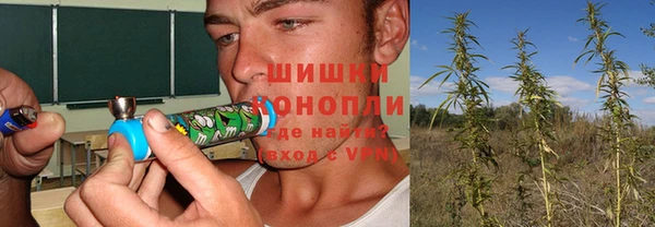 дживик Белокуриха