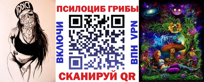 закладки  Володарск  Псилоцибиновые грибы прущие грибы 